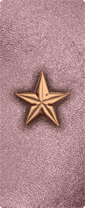 Star Bronze-Orchid